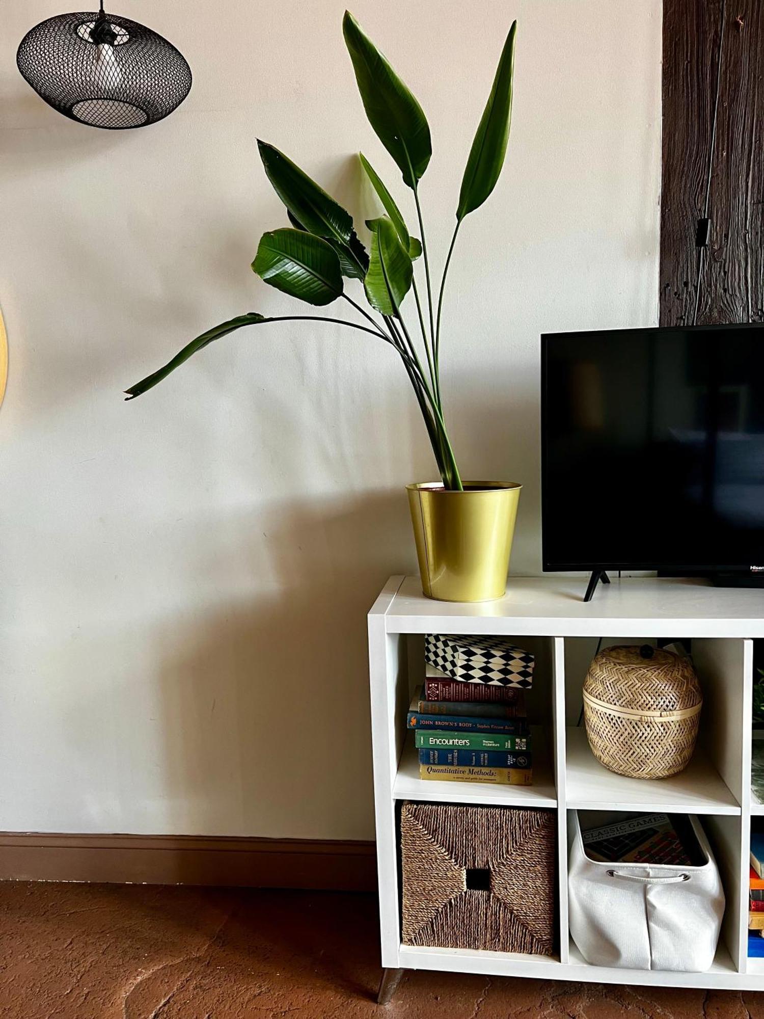 420 Friendly Boho Loft Downtown King Suite Free Parking Detroit Dış mekan fotoğraf